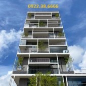 Building cỡ nhỏ – Vũ Tông Phan – 82m2 – 10 tầng – Dòng tiền 1.2 tỷ/năm.