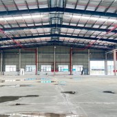 nhà xưởng hiện đại, kết cấu kiến cố. sẵn xưởng bàn giao đi vào hoạt động liền. PC tự động