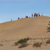 ĐẤT ĐẸP – GIÁ TỐT – CHÍNH CHỦ CẦN BÁN LÔ ĐẤT Tại huyện Ninh Phước, tỉnh Ninh Thuận.