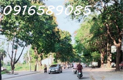 BÁN ĐẤT  LIÊN HÀ ĐÔNG ANH DT 109M2, Ô TÔ TRÁNH ,VỈA HÈ RỘNG , GIÁ HƠN 4 TỶ