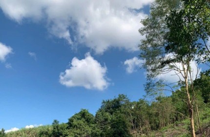 Đầu Tư Sinh Lời Với Lô Đất DT Rộng 1,4ha Tại Sông Hinh, Phú Yên - Giá chỉ 550 triệu!