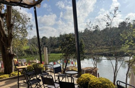 Sang quán cafe rộng 1900m2 + 1300m2 ruộng, view ruộng cao đẹp.