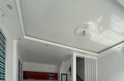 Bán nhà Ngõ đường Trần Hưng Đạo - TP Thái Bình. Diện tích 49,2 m². Nhà mới xây