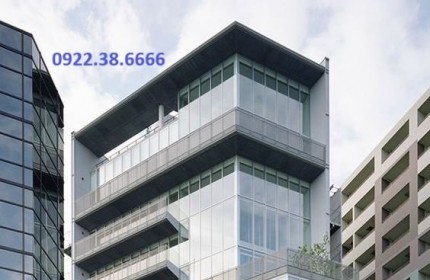 Building cỡ nhỏ – Tây Sơn – 556m2 – 8 tầng – 20m mặt tiền – 365 tỷ