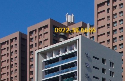 Building cỡ nhỏ – Xã Đàn – 131m2 – 7 tầng – 12m mặt tiền – Dòng tiền 3.36 tỷ/năm.