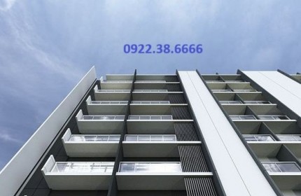 Building cỡ nhỏ – Lò Đúc – 230m2 – 8 tầng – 8.3m mặt tiền – Dòng tiền 3 tỷ/năm.