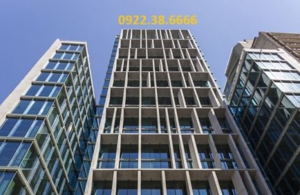 Building cỡ nhỏ – Tây Sơn – 556m2 – 8 tầng – 20m mặt tiền – 365 tỷ