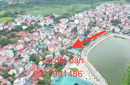 Bán đất Lại Đà Đông Hội 3.55 tỷ - siêu phẩm Đông Anh x7 miễn chê 45m2