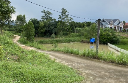 Bán đất Sóc Sơn, 247m, mặt tiền thênh thang, ô tô vèo vèo - THÙY SÓC SƠN