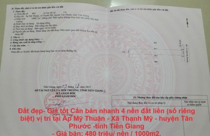 Đất đẹp- Giá tốt Cần bán nhanh 4 nền đất liền (sổ riêng biệt) vị trí tại huyện Tân Phước -Tiền Giang