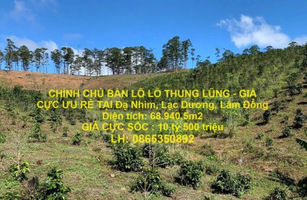 CHÍNH CHỦ BÁN LÔ LÔ THUNG LŨNG - GIÁ CỰC ƯU RẺ TẠI Đạ Nhim, Lạc Dương, Lâm Đồng