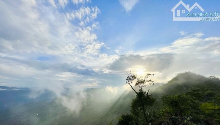 Cần bán lô đất có vị trí đắc địa tại xã Chiềng Sơn, Mộc Châu đã có sổ hồng, diện tích hơn 2ha, mặt tiền hơn 300m