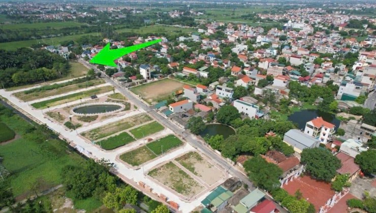 LÔ ĐẤT ĐẤU GIÁ ĐẸP - GIÁ TỐT - Vị Trí Đắc Địa Tại Tử Dương, Tô Hiệu, Thường Tín, Hà Nội.