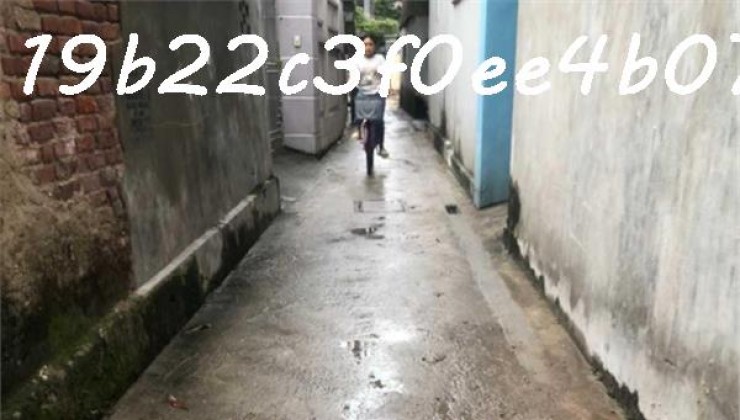 Bán đất lô góc 2MT 194.5m2 sẵn sổ chính chủ trung tâm xã Liên Hà - Đông Anh - Hà Nội