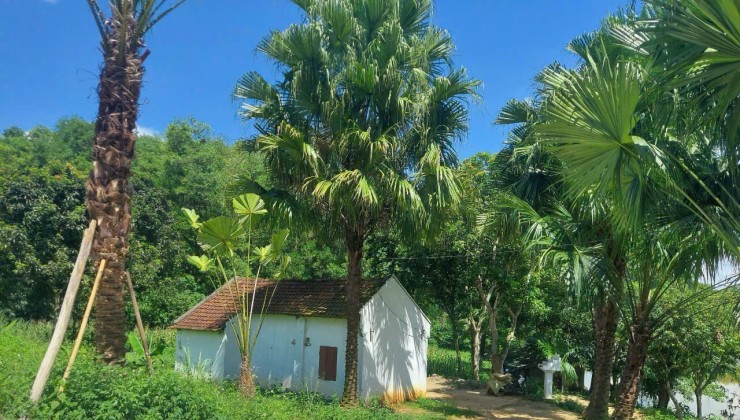 4989 m2 Vị trí đẹp thứ 2 Ba Vì -Yên Bài - Ba Vì - Hà Nội(Giá thương lượng miễn môi giới trung gian)