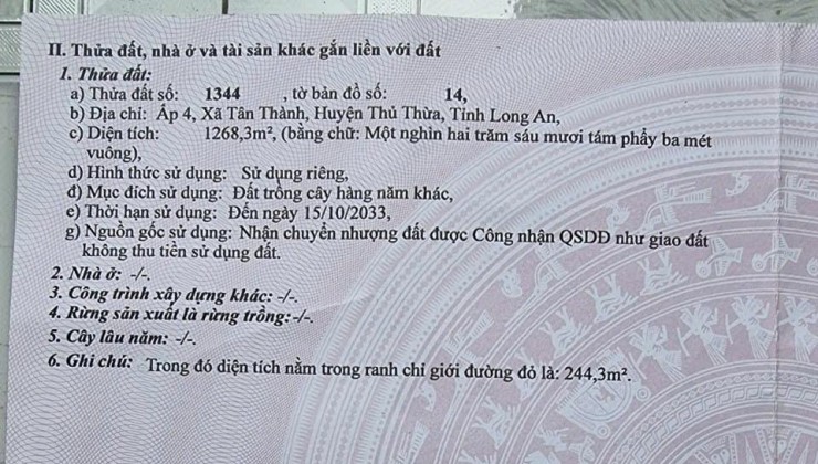 Chính Chủ Bán Gấp Đất Vị Trí Đẹp Tại Xã Tân Thành, Thủ Thừa, Long An