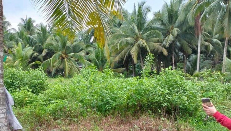 Chính Chủ Bán Nhanh Lô Đất Tại Ấp Trà On, Xã Huyền Hội, Huyện Càng Long, Trà Vinh