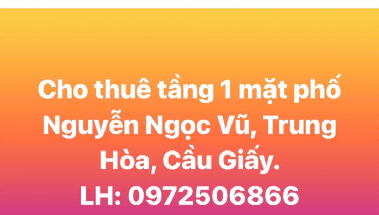 Chính chủ cho thuê kho xưởng Đường Tỉnh Lộ 10, Phường Tân Tạo, Quận Bình Tân, TP.HCM