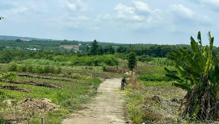 ĐẤT ĐẸP - ĐẦU TƯ SINH LỜI - Chính Chủ Cần Bán Nhanh Lô Đất Xã Sông Ray, Cẩm Mỹ, Đồng Nai