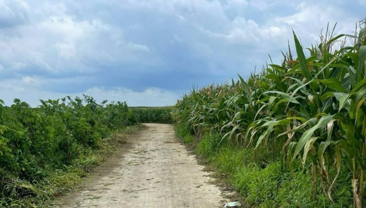 ĐẤT ĐẸP - ĐẦU TƯ SINH LỜI - Chính Chủ Cần Bán Nhanh Lô Đất Xã Sông Ray, Cẩm Mỹ, Đồng Nai