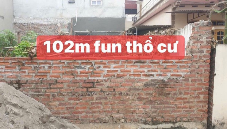 NÓI DDEESN ĐÁT LẠC NÔNG MAI ĐÌNH HUYỆN SS HÀ NỘI TIỆN CICH TRÀN VIÊN DT 100 M FUN TC