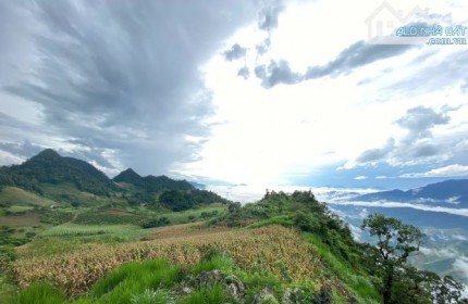 Bán gấp mảnh đất Mộc Châu diện tích hơn 2ha đã có sổ đỏ, mặt tiền bám đường hơn 300m