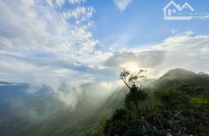 Bán gấp mảnh đất Mộc Châu diện tích hơn 2ha đã có sổ đỏ, mặt tiền bám đường hơn 300m