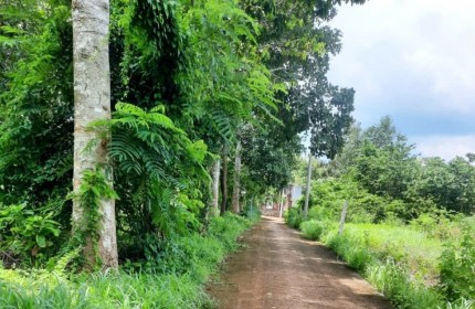 CHÍNH CHỦ BÁN LÔ ĐẤT ĐẸP ngay trung tâm thương mại NGÃI GIAO- CHÂU ĐỨC - BÀ RỊA VŨNG TÀU