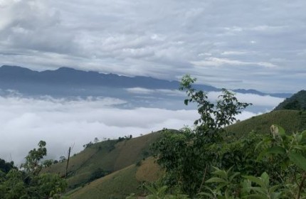 Bán gấp mảnh đất Mộc Châu diện tích hơn 2ha đã có sổ đỏ, mặt tiền bám đường hơn 300m