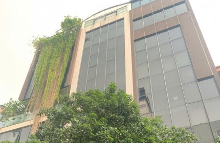 TOÀ  BUILDING TRẦN QUANG DIỆU - VỊ TRÍ ĐẮC ĐỊA, KINH DOANH SẦM UẤT THANG MÁY DT 80m2 8T Giá 47.5 tỷ