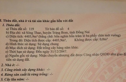 ĐẤT ĐẸP - ĐẦU TƯ SINH LỜI - Chính Chủ Cần Bán Nhanh Lô Đất Xã Sông Thao, Trảng Bom, Đồng Nai