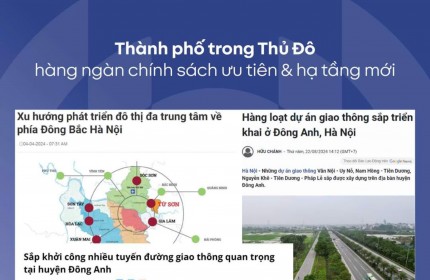 DỰ ÁN VINHOMES CỔ LOA - SẢN PHẨM BIỆT THỰ