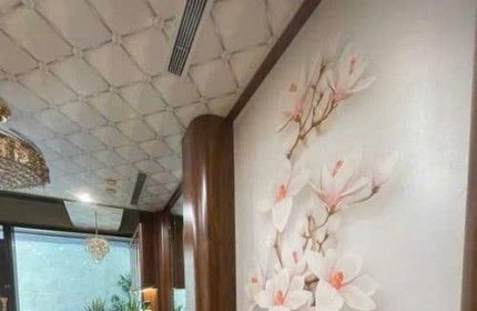 NHÀ TRUNG TÂM VỊ TRÍ VÀNG ĐƯỜNG LÁNG 84M2 MẶT TIỀN 6.2M X 3 TẦNG PHÙ HỢP Ở VÀ KINH DOANH