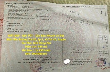 ĐẤT ĐẸP - GIÁ TỐT - Cần Bán Nhanh Lô Đất Mặt Tiền Đường Trà Cổ, Huyện Tân Phú, Đồng Nai