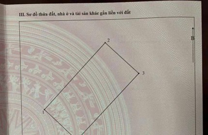 Chính chủ cho thuê chung cư tầng trệt đường Bàu Cát 7, P 14, Tân Bình, Hồ Chí Minh