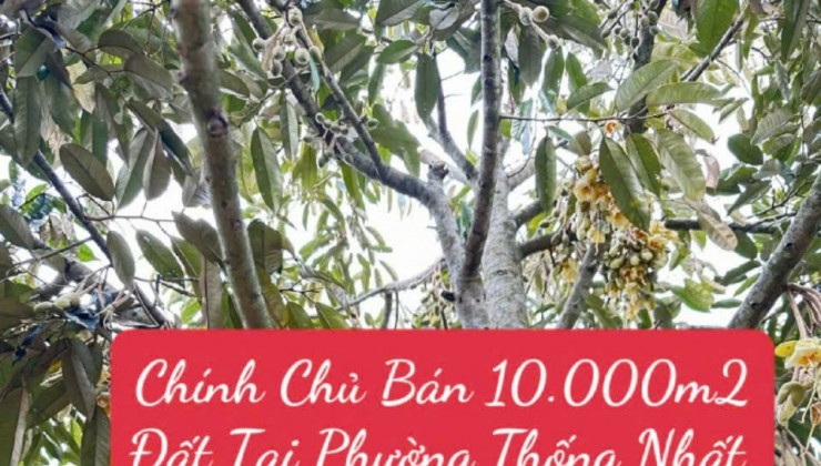 Chính Chủ Bán 10.000m2 Đất Tại Phường Thống Nhất, Xã Buôn Hồ, Đắk lắk