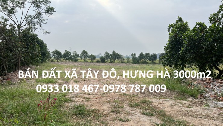 Bán đất xã tây đô, hưng hà, thái bình trục huyện 3000m2-2tr/m2-0933018467-0978787009