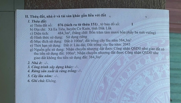 Bán 484,3m2 Đất Chính Chủ Có 1 Căn Nhà Nhỏ và Trồng Hoa Màu Tại Ea Tiêu, huyện Cư Kuin, Đăk Lăk.