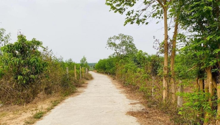 BÁN LÔ ĐẤT QH FULL THỔ CƯ 500,6M2 - NGAY MẶT TIỀN ĐƯỜNG RỘNG 5,5m TẠI SUỐI TIÊN - DIÊN KHÁNH!