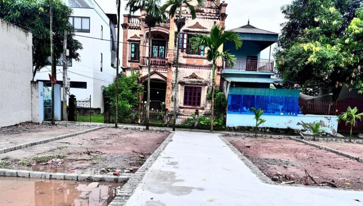 Bán đất tạiTân Dân, Phú Xuyên, Diện tích: 110m2, Giá bán chỉ 1,x tỷ