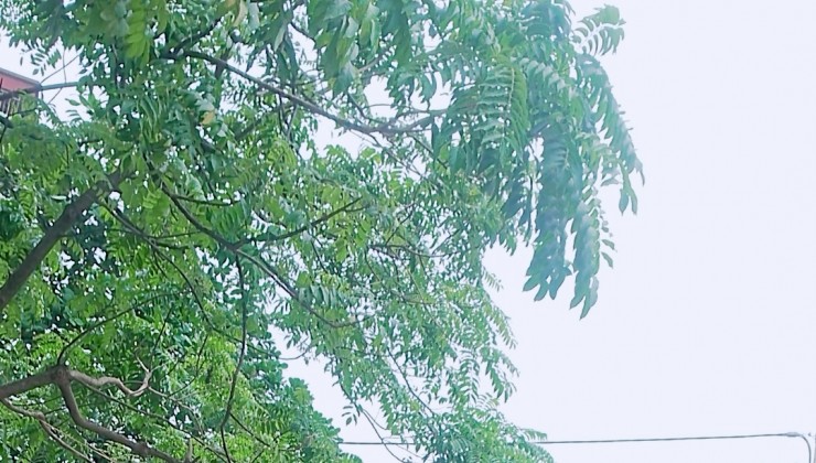 Chị gái bán nhà Tây mỗ đẹp long lanh nội thất hiện đại 6 tỷ 42m