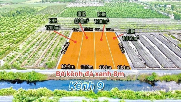 Bán 2 Lô Liền Kề đẹp tuyệt vời tại ấp 3 Tân Thành, HuyệnThủ Thừa, Long An