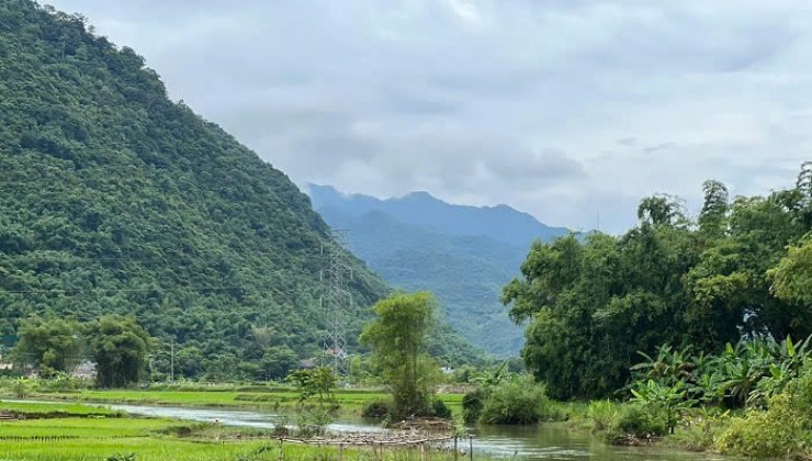 Cần bán 1,2ha đất nền Nông Nghiệp có Sổ Đỏ rõ ràng tại Lâm Đồng