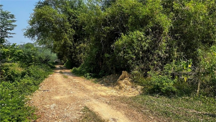 Cần bán đất đồi làm Homestay, kinh doanh dịch vụ du lịch, diện tích 1,3ha giá 1,5 tỷ.