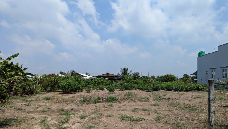 Đất nông nghiệp: 25.5 x 57 m = 1469 m2 Cần Đước, Long An.