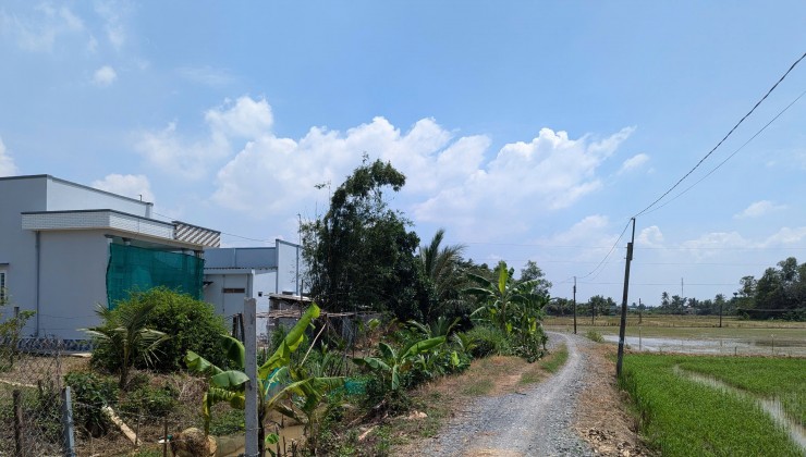 Đất nông nghiệp: 25.5 x 57 m = 1469 m2 Cần Đước, Long An.