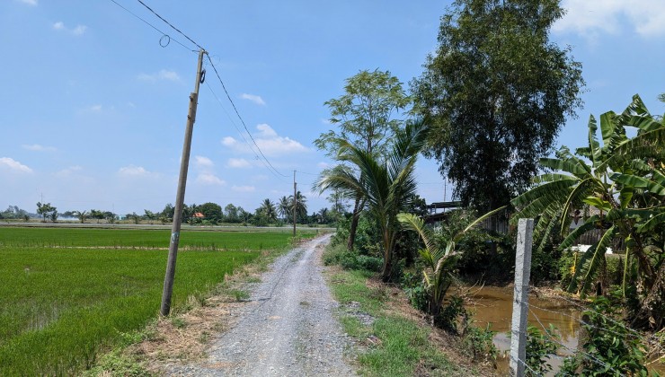 Đất nông nghiệp: 25.5 x 57 m = 1469 m2 Cần Đước, Long An.