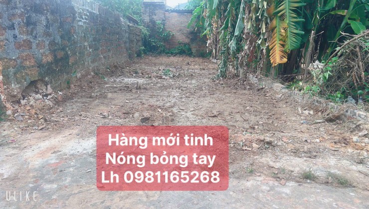 LOANH QUANH GIÁ CHƯA ĐẾN TỶ DT 77,9  M FUN THỔ CƯ TẠI THÁI LAI MINH TRÍ TIỆN ÍCH TRANF VIỀN