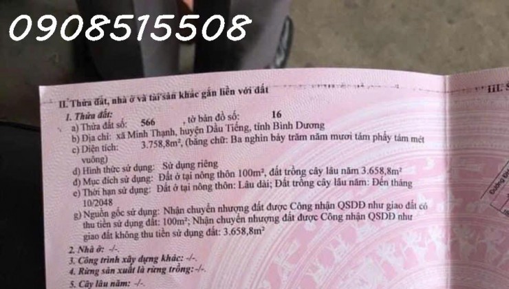 Em còn căn nhà vườn bưởi rộng gần 4000m2 trên Dầu Tiếng nhờ ae chạy ra phụ nhé.