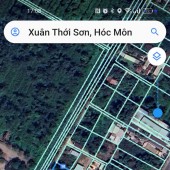 Bán đất hiếm, DT khủng, 14*25m, Xuân Thới Sơn 11, Hóc Môn, Giá 4.7 tỷ. Gần Cầu Lớn.